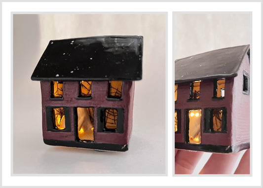 Mini House with Ghost (bats interior)