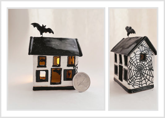 Mini House with Bat (spiderweb exterior)