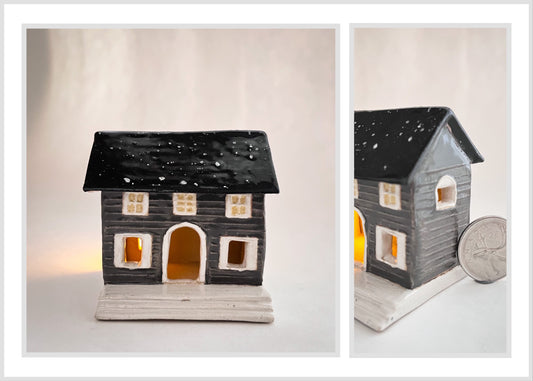 Mini House with Porch (bats interior)